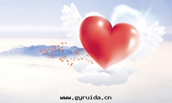 取(qǔ)证必读(dú)