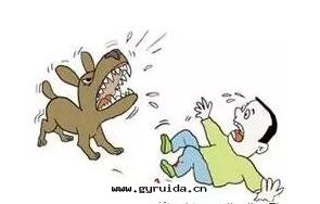 急救常識:被(bèi)寵物(wù)咬傷如(rú)何急救