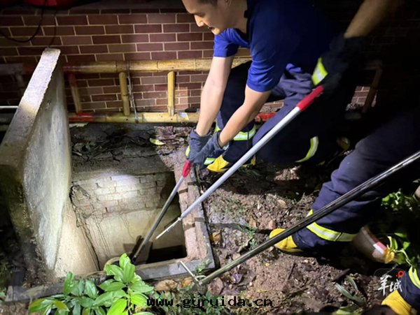 广州一(yī)小區(qū)蛇患頻發(fà)，多(duō)方聯動(dòng)治理(lǐ)進(jìn)行时(shí)！