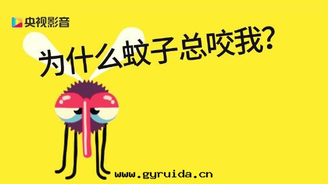 夏季飲水(shuǐ)安(ān)全(quán):隔夜(yè)開(kāi)蓋水(shuǐ),你還(huán)在(zài)喝嗎?