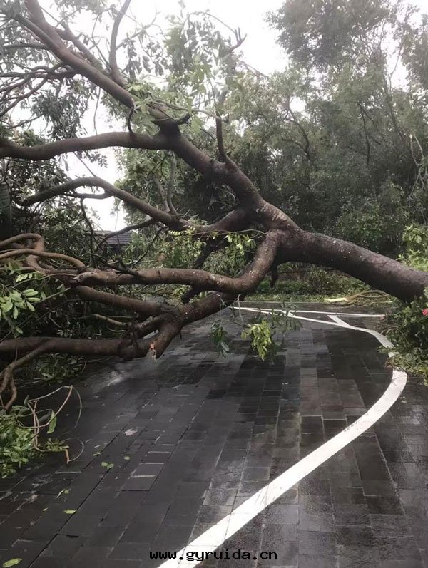 台(tái)風(fēng)“劍魚”来(lái)襲，海(hǎi)南(nán)多(duō)地(dì)遭(zāo)遇強(qiáng)風(fēng)暴雨(yǔ)，居(jū)民(mín)緊急避險