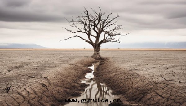 國(guó)家(jiā)防災減災救災委員会(huì)辦(bàn)公(gōng)室(shì)應(yìng)急管(guǎn)理(lǐ)部(bù) 發(fà)布2025年8月(yuè)全(quán)國(guó)自(zì)然災害情(qíng)況