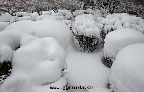 冰凍黃色(sè)預警！中國(guó)气(qì)象(xiàng)局升(shēng)級調整應(yìng)急響應(yìng)为(wèi)重(zhòng)大(dà)气(qì)象(xiàng)災害（寒潮(cháo)、冰凍、暴雪(xuě)）三(sān)級！