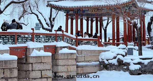 雪(xuě)景雖(suī)美(měi)，安(ān)全(quán)第(dì)一(yī)！雪(xuě)天(tiān)出(chū)行“防滑”指南(nán)来(lái)了(le)